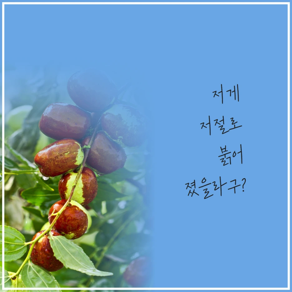 %EC%B6%94%EC%84%9D%EB%AA%85%EC%A0%88_(9).png?type=w1