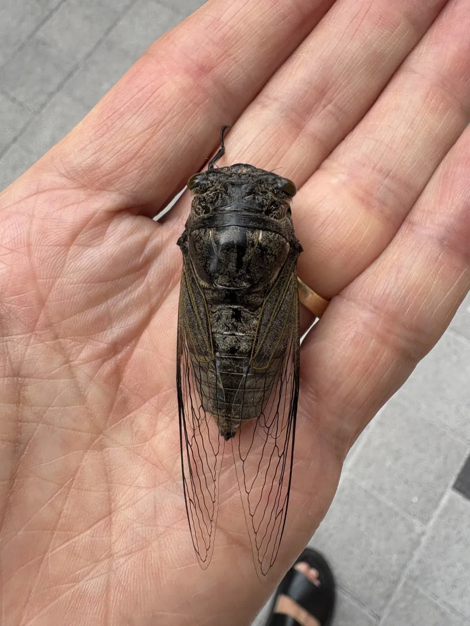 IMG_2340.jpeg?type=w1