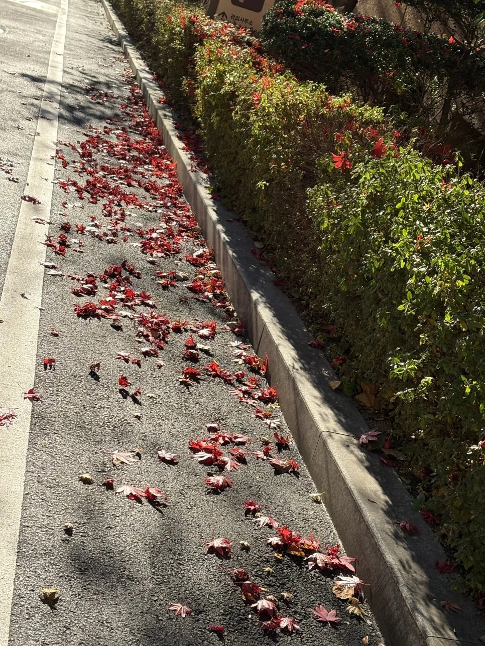 IMG_4973.jpeg?type=w966