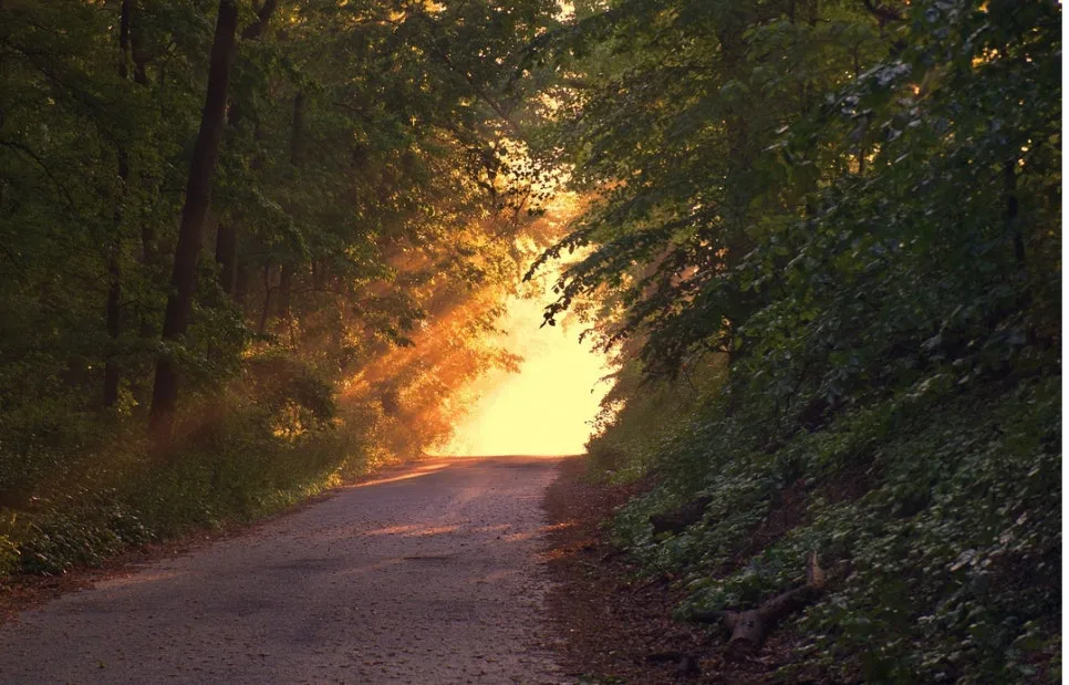 %EC%84%A4%EB%AA%85%ED%95%98%EC%A7%80%EB%A7%90%EA%B3%A0_%EB%B3%B4%EC%97%AC%EC%A3%BC%EB%8A%94%EA%B8%80_%EC%B9%98%EC%9C%A0_%EA%B8%80%EC%84%BC%ED%8B%B0%EB%B8%8C%EC%B1%85%EC%93%B0%EA%B8%B0%EC%8A%A4%EC%BF%A8_(2).jpg?type=w966