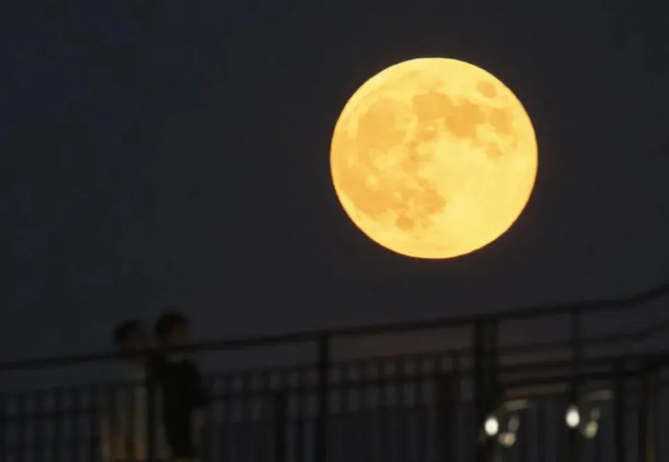 %EC%9D%B4%EB%B3%84_%EC%9D%B8%EC%83%9D_%EC%82%B6%EC%9D%98%EC%A7%80%EC%B2%B4_%EB%8A%90%EB%A6%BC%EC%9D%98%EB%AF%B8%EB%9D%BD_%EC%B1%85%EC%93%B0%EA%B8%B0%EA%B8%80%EC%93%B0%EA%B8%B0_%EC%9A%94%EC%95%BD%EB%8F%85%EC%84%9C%EB%B2%95.jpg?type=w966