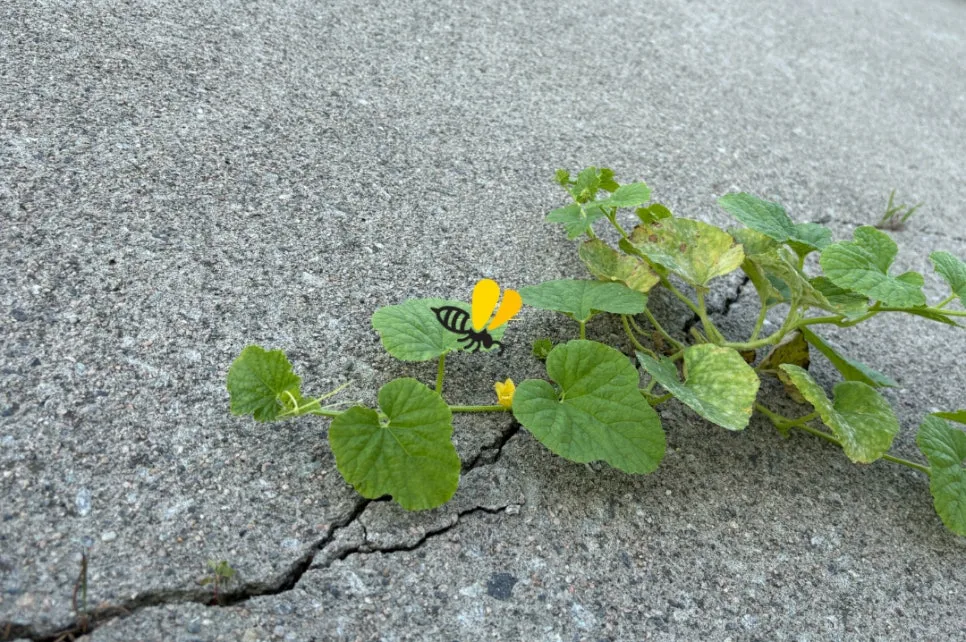 %EC%9E%A0%EA%B9%90_%EC%9D%B4%EB%8C%80%EB%A1%9C%EB%8F%84_%EA%B4%9C%EC%B0%AE%EC%95%84_%EA%B8%80%EC%84%BC%ED%8B%B0%EB%B8%8C%EC%B1%85%EC%93%B0%EA%B8%B0%EC%8A%A4%EC%BF%A8_(21).jpg?type=w966