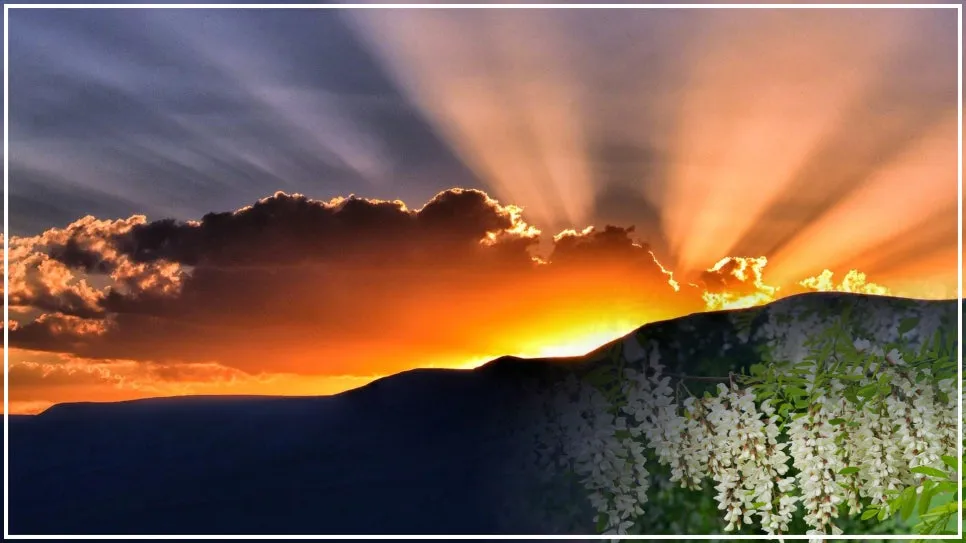 31%EA%B8%B0%EC%95%84%EC%A3%BC%ED%8A%B9%EB%B3%84%ED%95%9C__%EB%8B%B9%EC%8B%A0%EC%9E%90%EC%8B%A0%EC%9D%B4%EB%90%98%EC%96%B4%EB%9D%BC_240226.jpg?type=w966