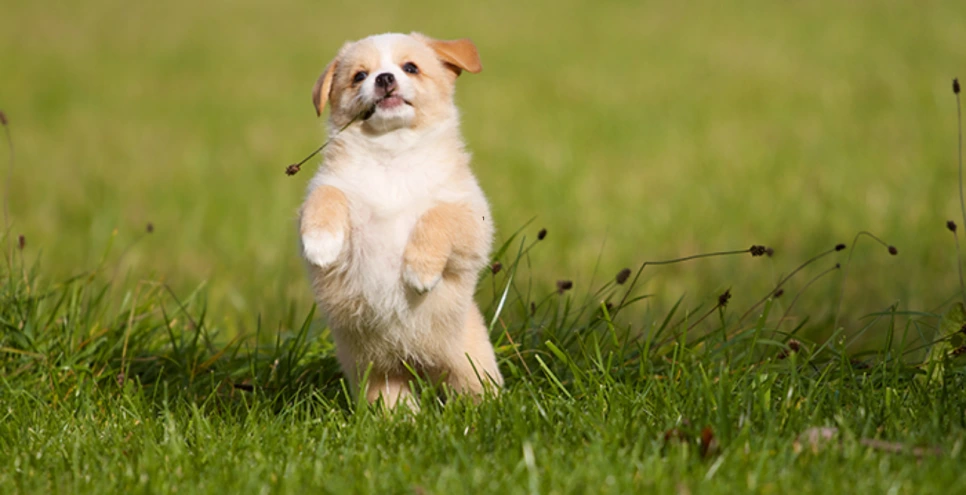 %EC%98%81%ED%99%94_%ED%8C%8C%EC%9D%BC%EB%9F%BF_%EC%AA%BD%ED%8C%94%EB%A6%AC%EA%B2%8C%EC%82%B4%EC%A7%80%EB%A7%90%EC%9E%90_(2).png?type=w966