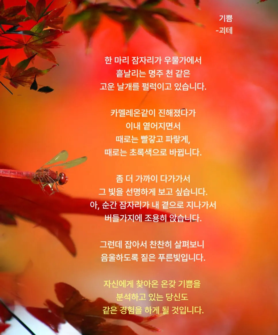 %EC%8B%AC%EA%B0%81%EC%98%88%EB%AF%BC%EC%86%90%ED%95%B4_%ED%97%98%EB%8B%B4_%EB%B9%84%EB%82%9C%EA%B8%88%EB%AC%BC_(3).jpg?type=w966