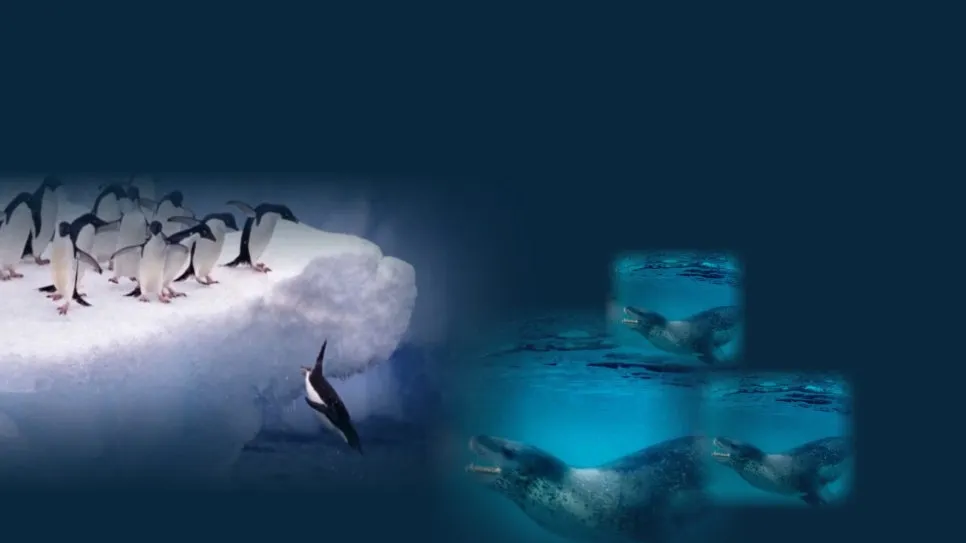 %ED%8D%BC%EC%8A%A4%ED%8A%B8%ED%8E%AD%EA%B7%84_%EB%AF%B8%EB%8B%88%ED%8A%B9%EA%B0%95_%EC%86%94%EC%84%A0%EC%88%98%EB%B2%94%EC%9D%98%EB%B2%95%EC%B9%99_.jpg?type=w966