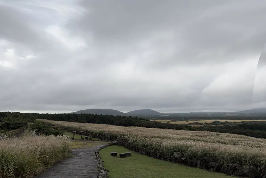 IMG_3504.JPG?type=w1