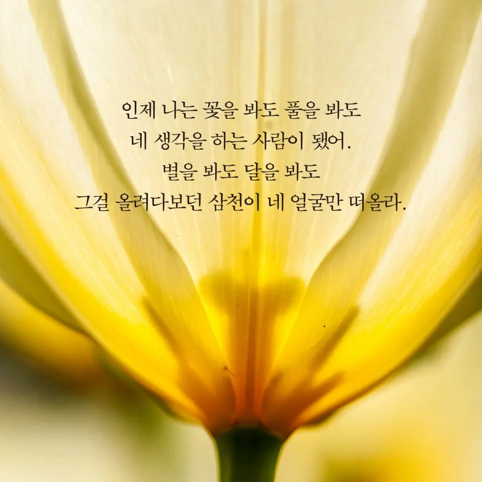 04%EB%B0%9D%EC%9D%80%EB%B0%A4.jpg?type=w966