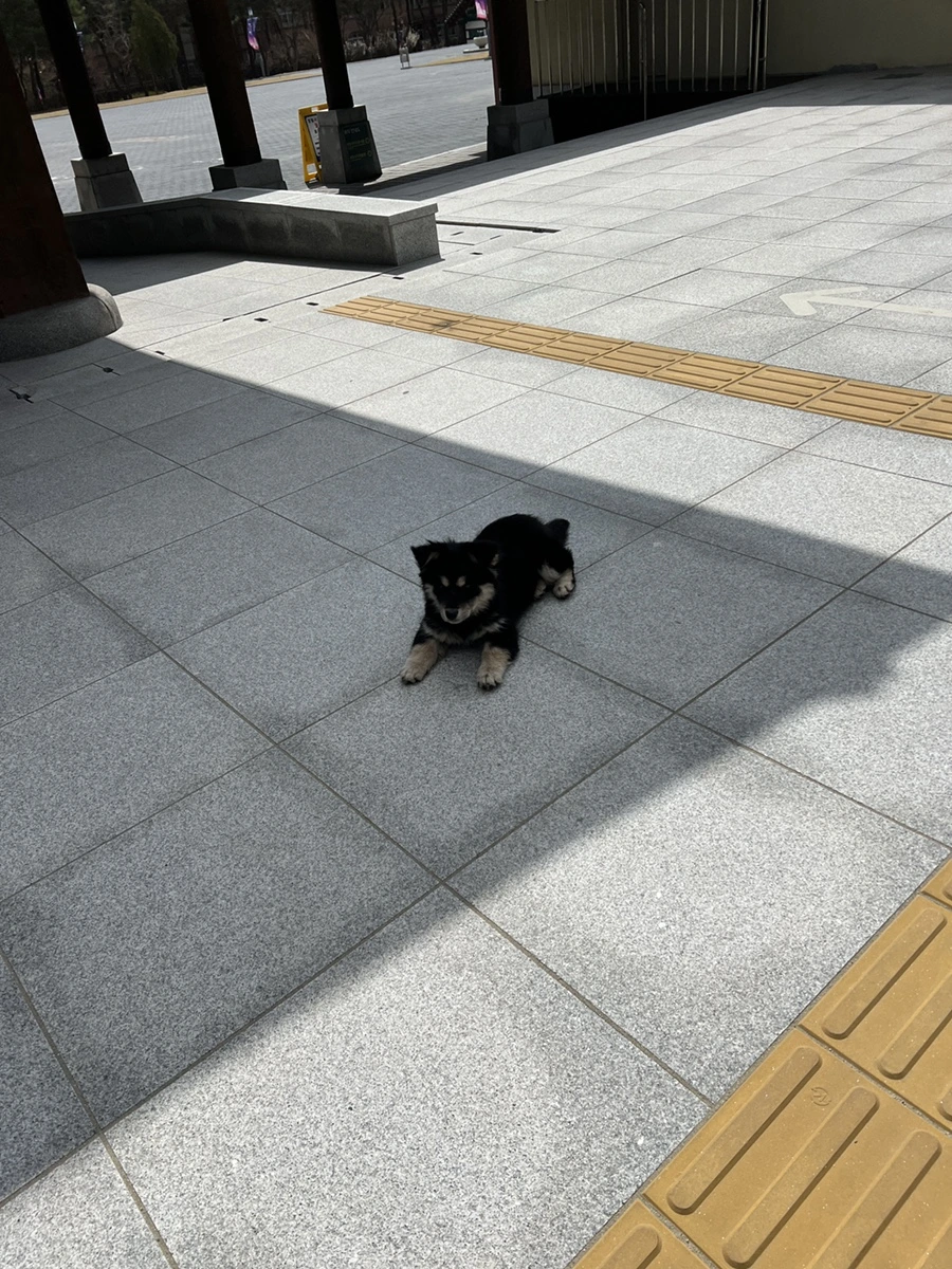 IMG_1491.JPG?type=w966