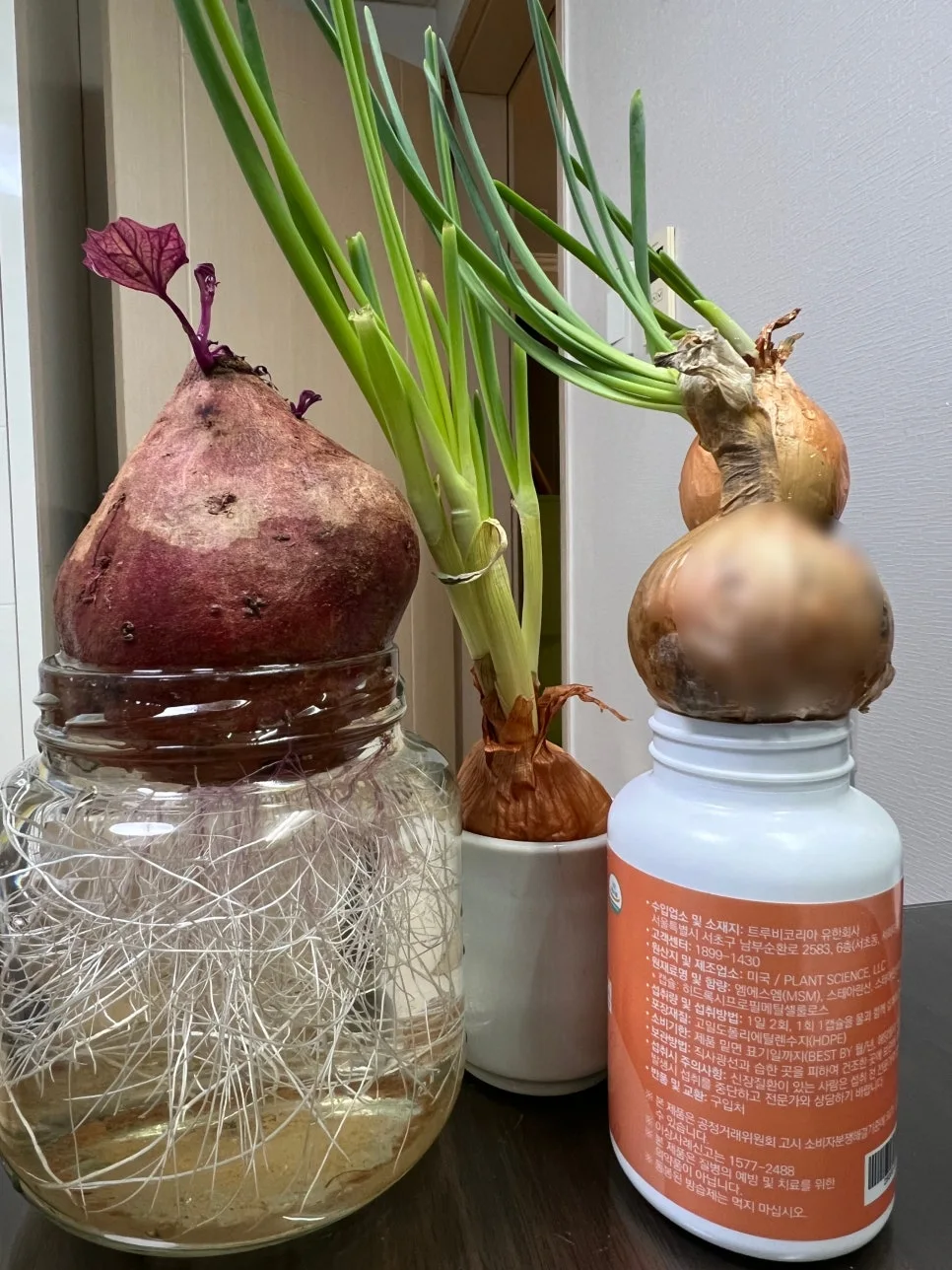 SE-62c2a372-e813-4182-aae3-230f44eb7ddb.jpg?type=w966