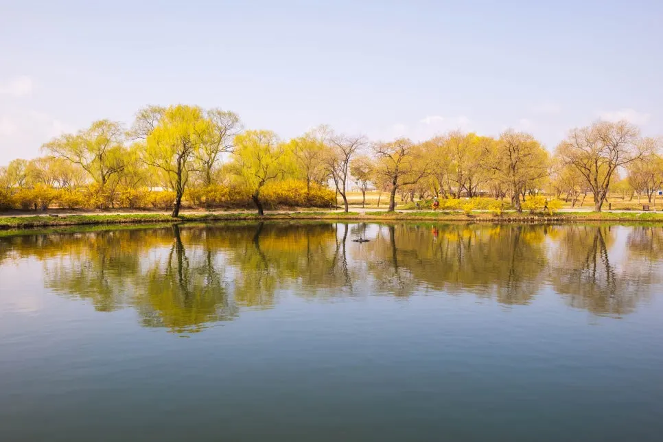 %EA%B8%80%EC%84%BC%ED%8B%B0%EB%B8%8C%EC%B1%85%EC%93%B0%EA%B8%B0%EC%8A%A4%EC%BF%A8%ED%95%84%EC%82%AC1%EA%B9%80%EC%A2%85%EC%9B%9012.JPG?type=w966