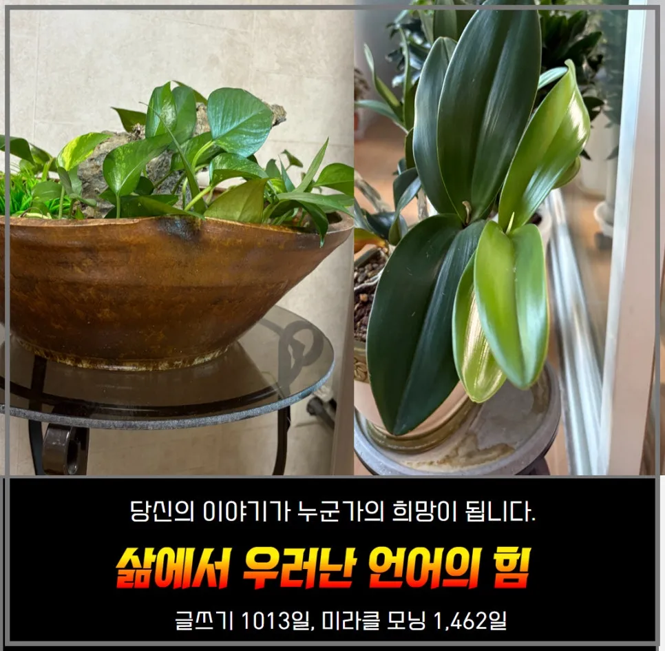 %EB%B0%9D%EC%9D%80%EB%B0%A4_%EC%96%B8%EC%96%B4%EC%9D%98%ED%9E%98_%EC%93%B0%EA%B8%B0%EC%9D%98%EB%A7%90%EB%93%A4.jpg?type=w966