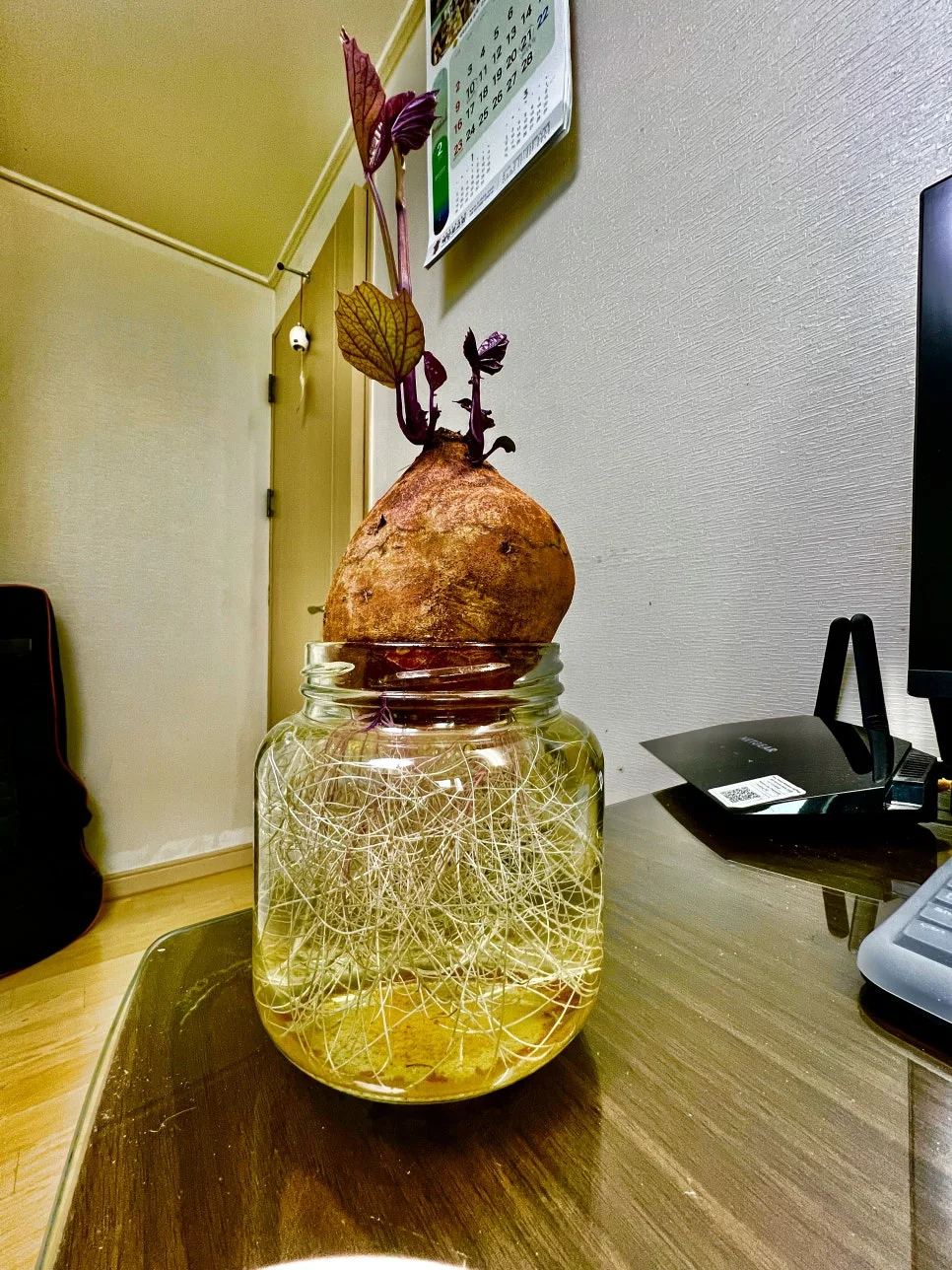 %EC%9E%90%EC%A1%B4%EC%8B%AC.jpg?type=w966