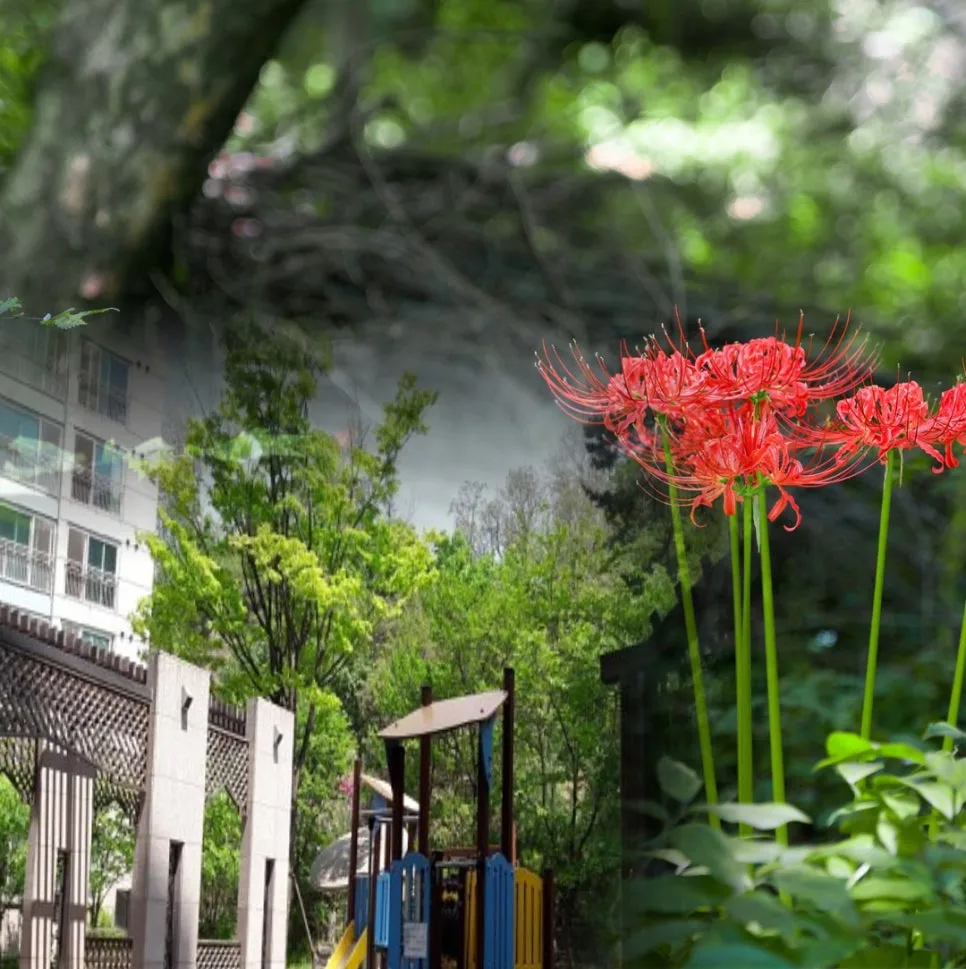 %EC%B6%95%EC%84%B1%ED%83%84_%EB%A9%94%EB%A6%AC%ED%81%AC%EB%A6%AC%EC%8A%A4%EB%A7%88%EC%8A%A4_%EC%B9%9C%EA%B5%AC_%EC%9D%B8%EC%83%9D_%EC%82%B6_(2).jpg?type=w966