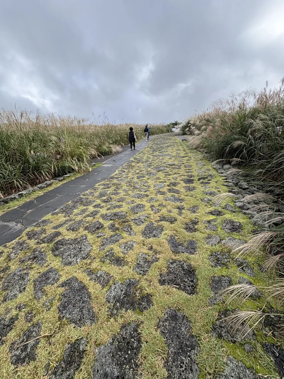 IMG_3501.JPG?type=w1