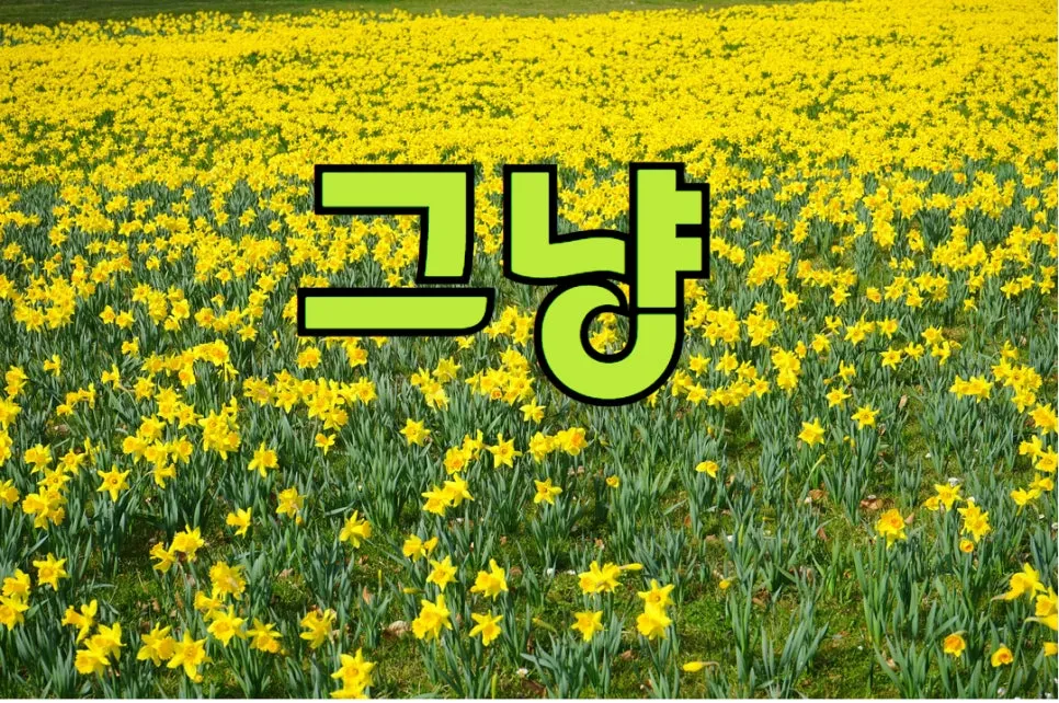 %ED%97%A4%EB%B0%8D%EC%9B%A8%EC%9D%B4%EC%9E%91%EA%B0%80%EC%88%98%EC%97%85_%EC%B9%B4%ED%8E%98%EA%B0%99%EC%9D%80%EC%82%AC%EB%9E%8C_%EB%B0%B0%EB%A0%A4_%EC%82%AC%EB%9E%91_%EC%9D%B8%EC%83%9D_%EA%B3%B5%EB%B6%80_(8).jpg?type=w966