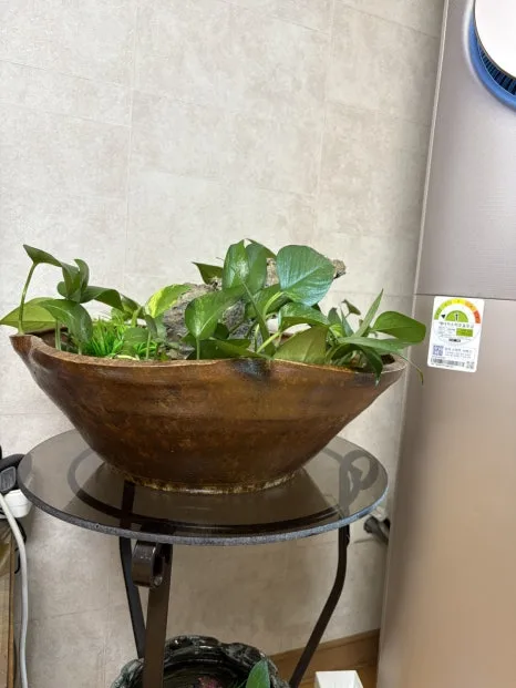 IMG_2053.JPG?type=w466