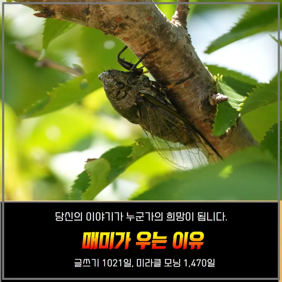 %EC%84%A4%EB%AA%85%ED%95%98%EC%A7%80%EB%A7%90%EA%B3%A0_%EB%B3%B4%EC%97%AC%EC%A3%BC%EB%8A%94%EA%B8%80_%EC%B9%98%EC%9C%A0_%EA%B8%80%EC%84%BC%ED%8B%B0%EB%B8%8C%EC%B1%85%EC%93%B0%EA%B8%B0%EC%8A%A4%EC%BF%A8_(2).jpg?type=w1