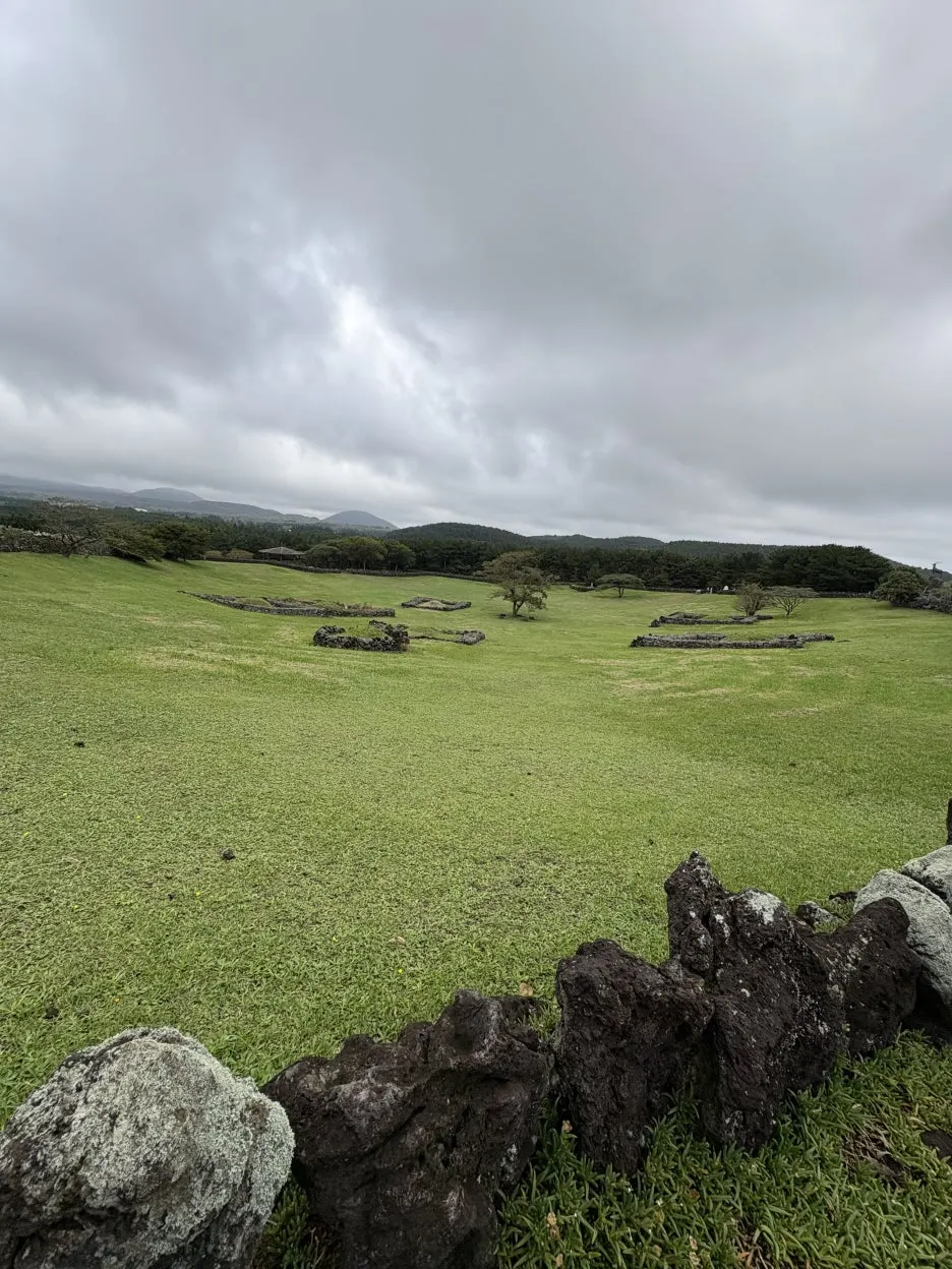 IMG_3506.JPG?type=w1