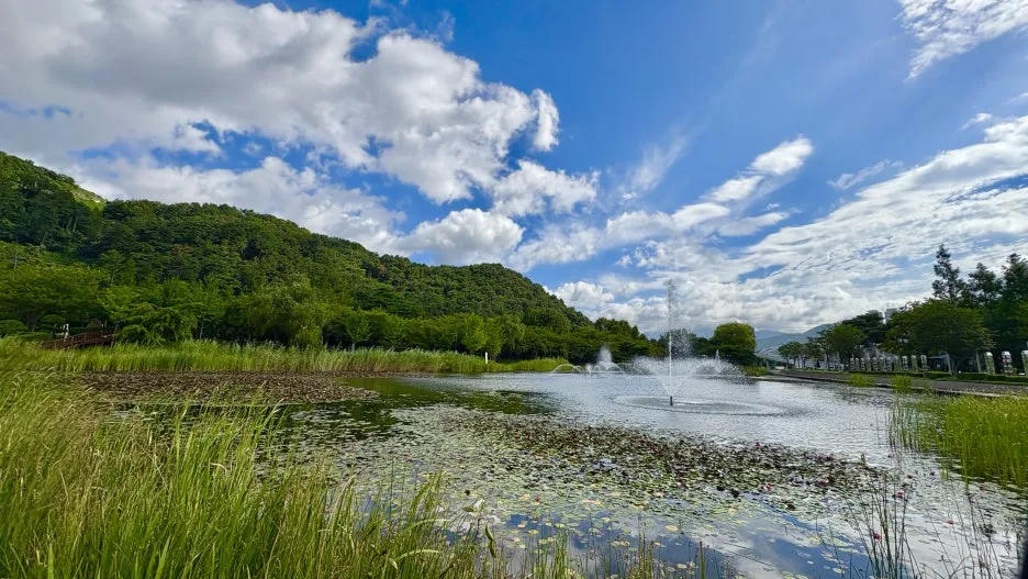 IMG_2302.jpeg?type=w1