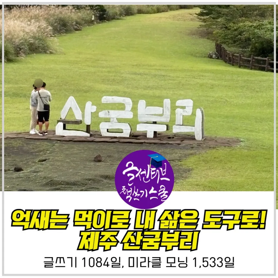 SE-66d03719-fb18-4e7b-bc4e-d772786dd1be.jpg?type=w1