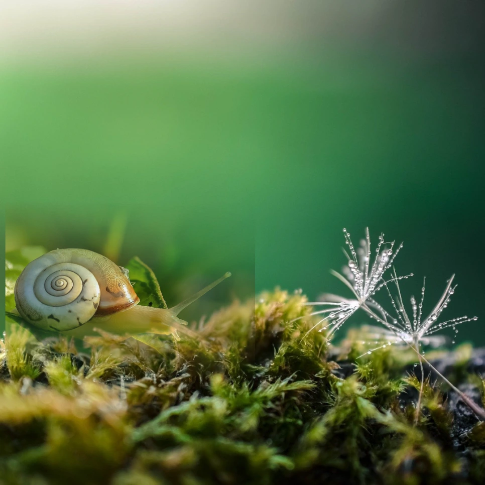 %EA%B8%80%EC%93%B0%EA%B8%B0%EC%B1%85%EC%93%B0%EA%B8%B0_%EB%B6%80%EC%82%B0%EA%B8%80%EC%93%B0%EA%B8%B0_%EA%B8%80%EC%84%BC%ED%8B%B0%EB%B8%8C%EC%B1%85%EC%93%B0%EA%B8%B0%EC%8A%A4%EC%BF%A8_(57).png?type=w966