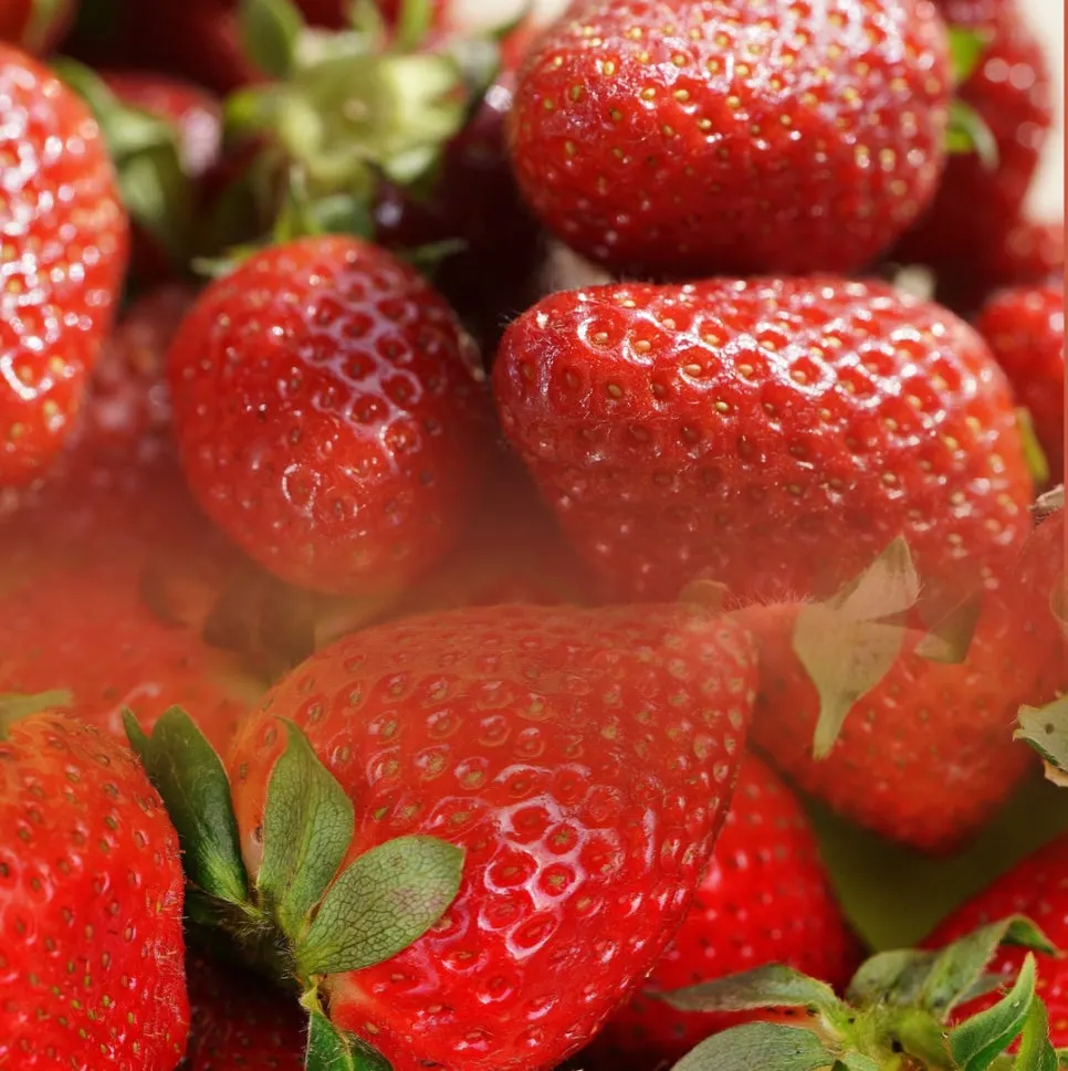 %EC%9D%B8%EC%83%9D%EC%9D%80%EB%8B%A4%EC%B4%88%EC%A0%90%EB%A0%8C%EC%A6%88_(3).jpg?type=w966