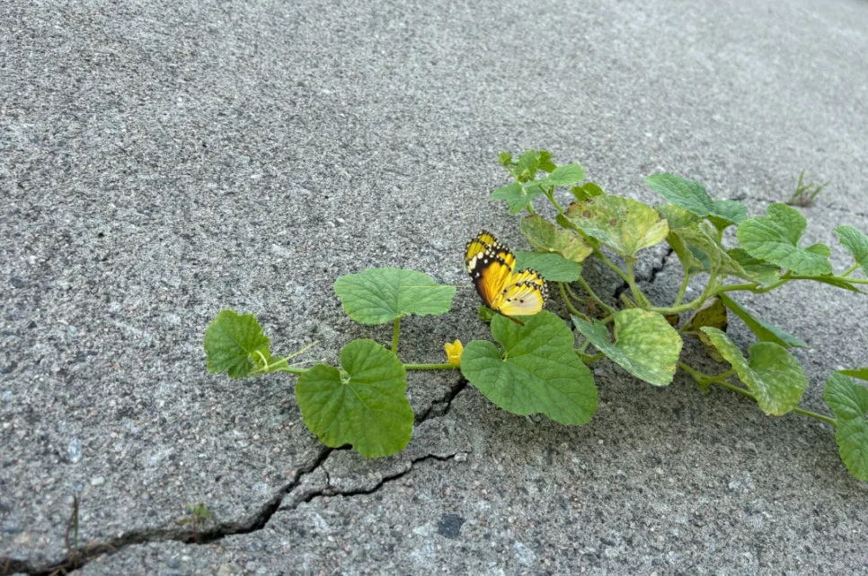 %EC%9E%A0%EA%B9%90_%EC%9D%B4%EB%8C%80%EB%A1%9C%EB%8F%84_%EA%B4%9C%EC%B0%AE%EC%95%84_%EA%B8%80%EC%84%BC%ED%8B%B0%EB%B8%8C%EC%B1%85%EC%93%B0%EA%B8%B0%EC%8A%A4%EC%BF%A8_(20).jpg?type=w966