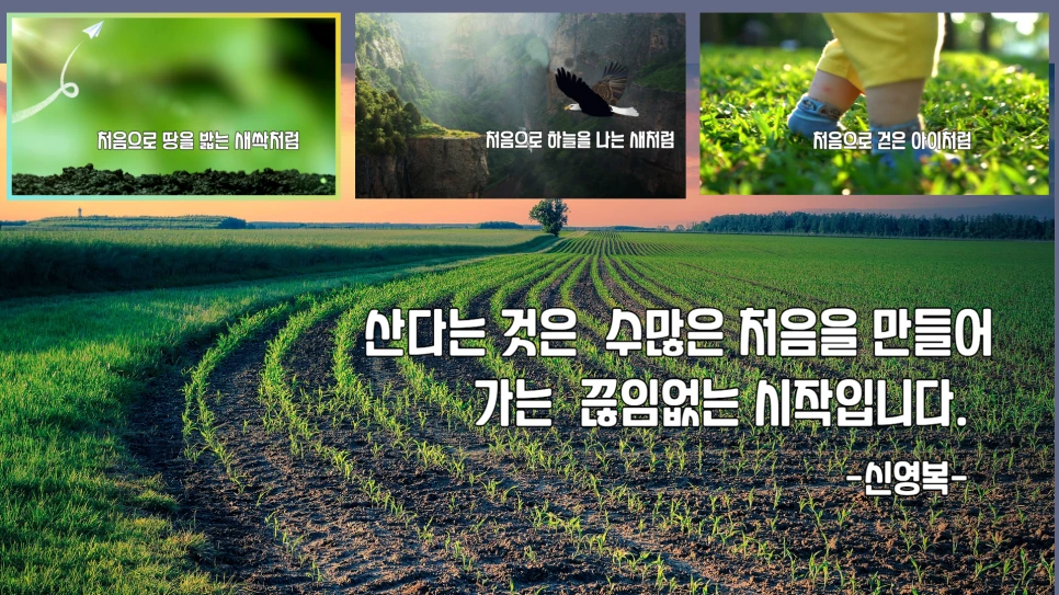 2024%EB%85%84_%EA%B0%90%EC%82%AC%ED%95%A9%EB%8B%88%EB%8B%A4%EC%82%AC_(13).png?type=w966