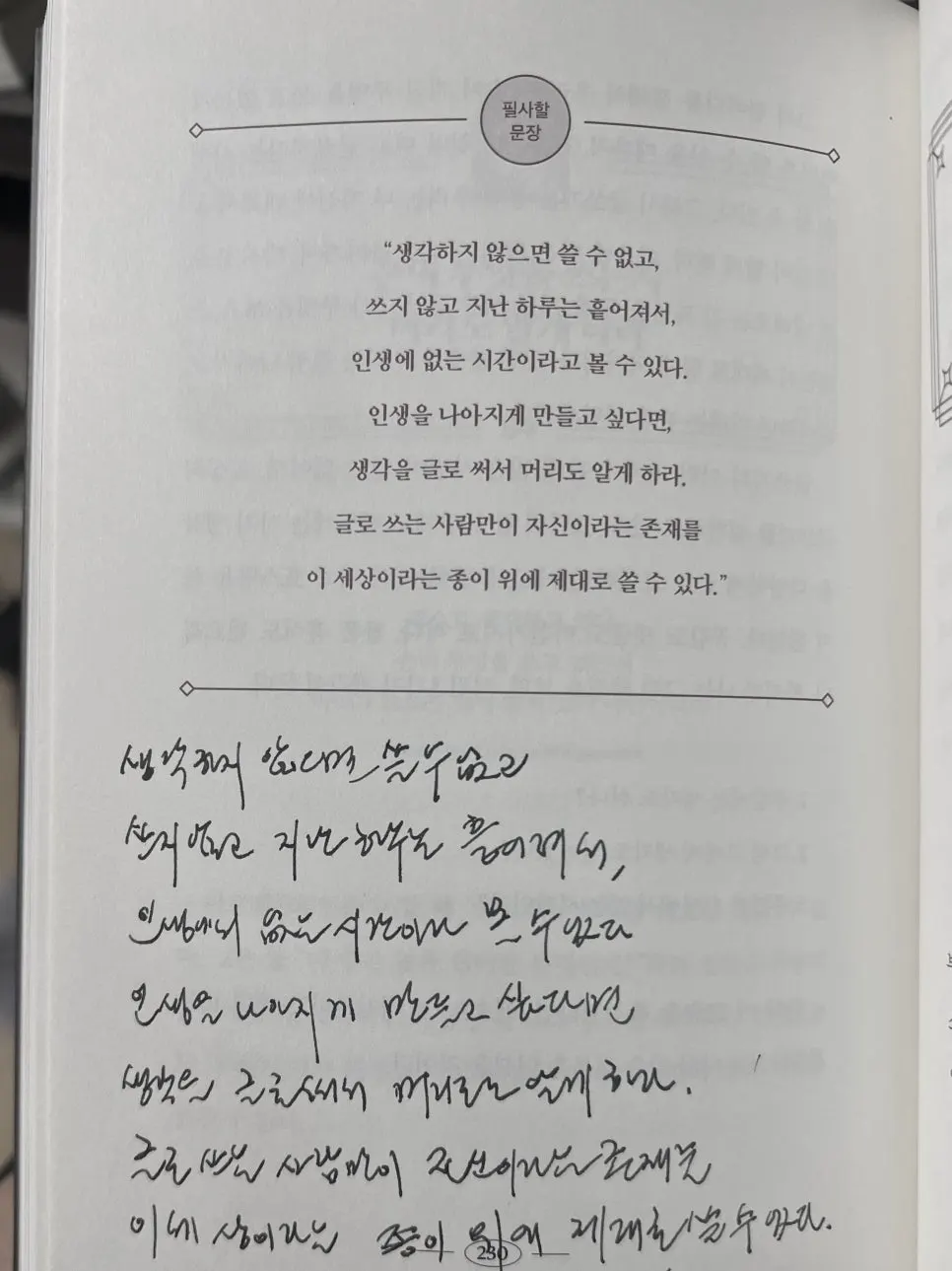 IMG_0804.jpeg?type=w966