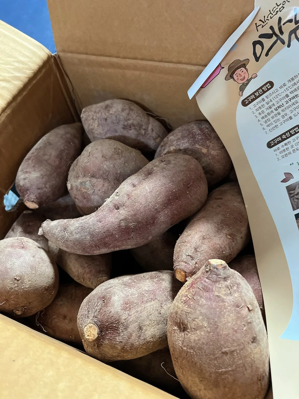 beauty_1707294307395.jpeg?type=w966