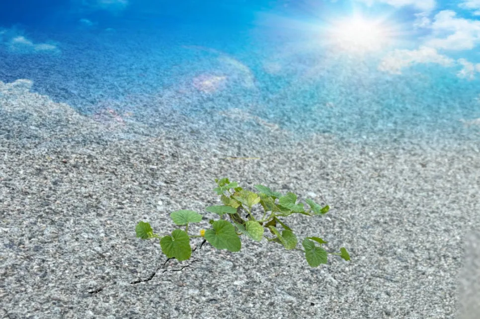 %EC%9E%A0%EA%B9%90_%EC%9D%B4%EB%8C%80%EB%A1%9C%EB%8F%84_%EA%B4%9C%EC%B0%AE%EC%95%84_%EA%B8%80%EC%84%BC%ED%8B%B0%EB%B8%8C%EC%B1%85%EC%93%B0%EA%B8%B0%EC%8A%A4%EC%BF%A8_(22).jpg?type=w966