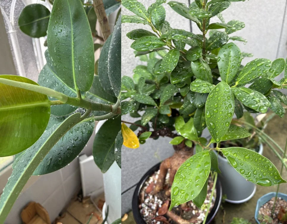 2026%EB%85%84%EB%8F%84_%EB%AA%A9%ED%91%9C_%EB%8F%85%EC%84%9C_%EC%82%B6_%EC%9D%B8%EC%83%9D_%EC%8A%A4%EC%BA%94_(5).jpg?type=w966