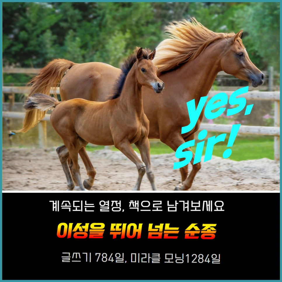 %EC%B1%85%EC%93%B0%EA%B8%B0%EA%B8%80%EC%93%B0%EA%B8%B0_%EC%88%9C%EC%A2%85_%EB%A6%BC%ED%83%9C%EC%A3%BC_%EC%A7%81%EC%9E%A5%EC%9D%B8%EC%B1%85%EC%93%B0%EA%B8%B0_%EA%B3%B5%EB%AC%B4%EC%9B%90%EC%B1%86%EC%8A%A4%EA%B8%B0%EB%9E%91%ED%95%9C%EA%B2%83%EC%B2%98%EB%9F%BC_%EA%B8%80%EC%9E%98%EC%93%B0%EB%8A%94%EB%B2%95_%EA%B8%80%EC%93%B0%EA%B8%B0_%EC%B1%85%EC%93%B0%EA%B8%B0.png?type=w966