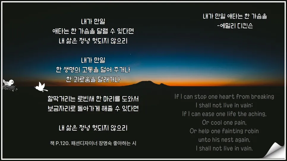 %EB%B3%B5%EC%82%AC%EB%B3%B8_195%ED%9A%8C_%EB%B6%80%EC%82%B0%ED%81%B0%EC%86%94%EB%82%98%EB%B9%84_%EB%8F%85%EC%84%9C%ED%8F%AC%EB%9F%BC_(9).jpg?type=w966