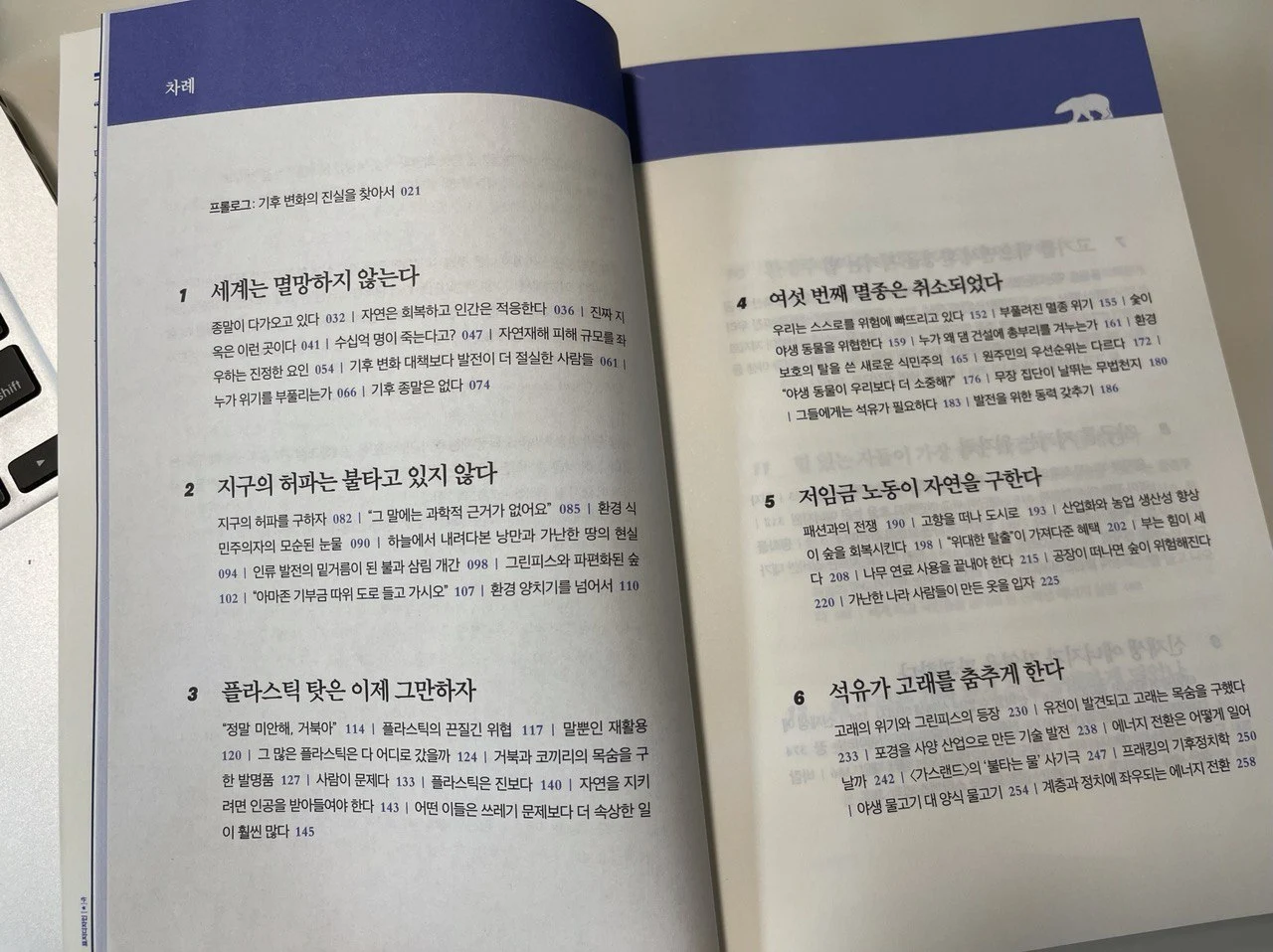 photo_2021-06-23 23.19.57.jpeg