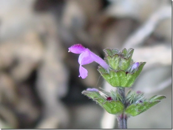 1670FC4D4DF8668E19F530