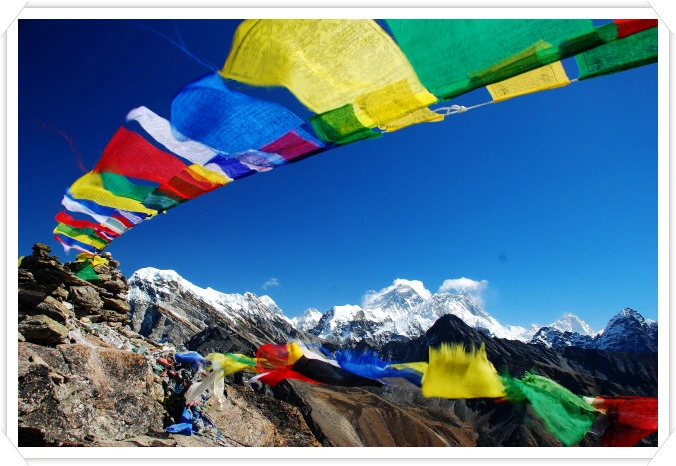 1626B9234C2AC9D5572E79