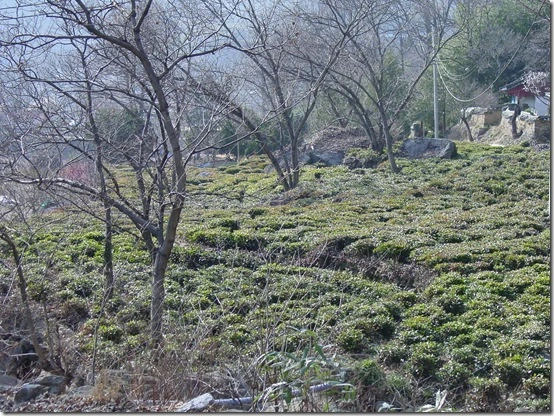 135E0B474DF866902FDE0C