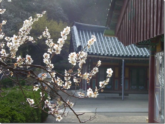 177B9C564DF8669E35A0FA