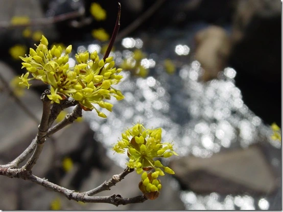 1435FC494DF8668A2055CF