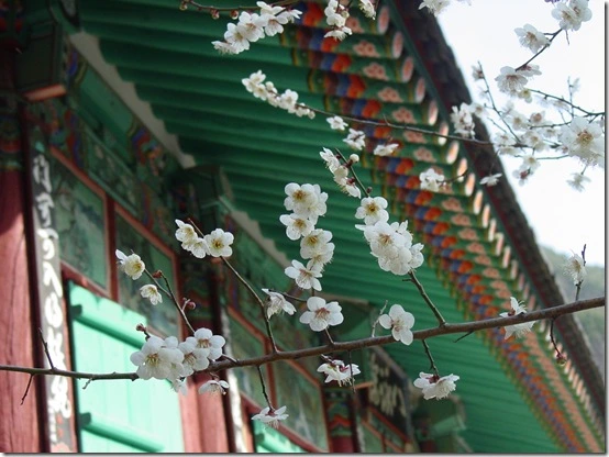 175841484DF8668D3EFF1B