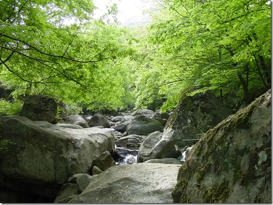 1506024C4DF86691186F2D