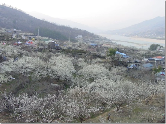 120AA24C4DF8669F0AAA81