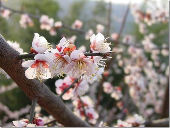 154496574DF8669F134C11