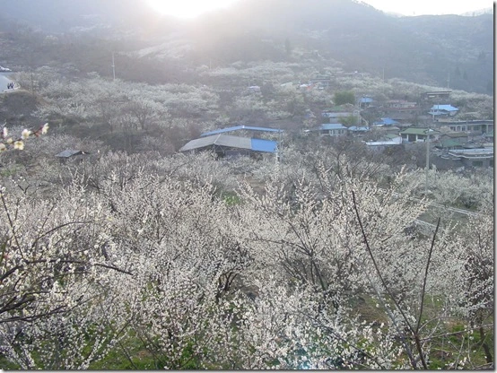 154C784E4DF866A019CF76