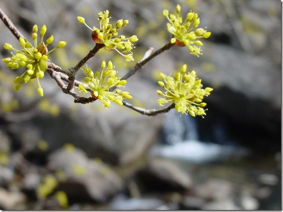 174FEF4F4DF8668B1029AF