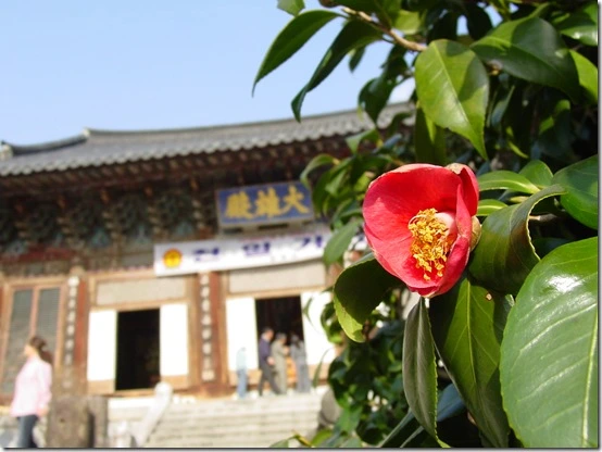 163094494DF8669A24FD01