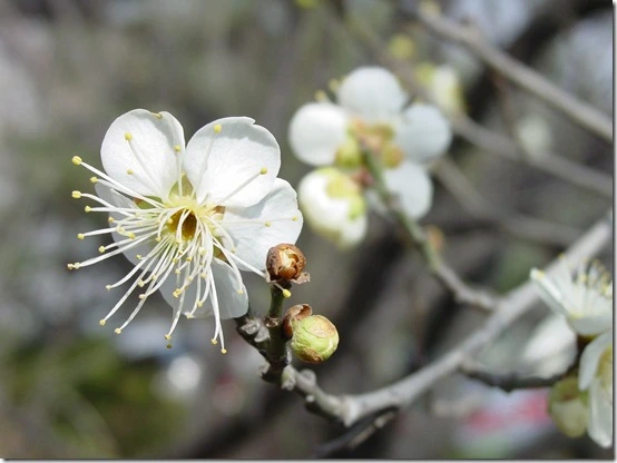 151997564DF86689069548