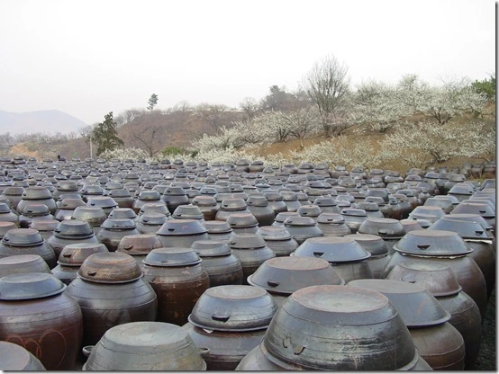 155A15484DF866A23BC674